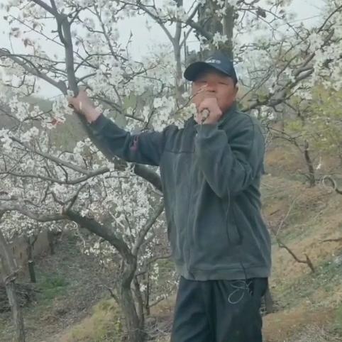 过往云烟