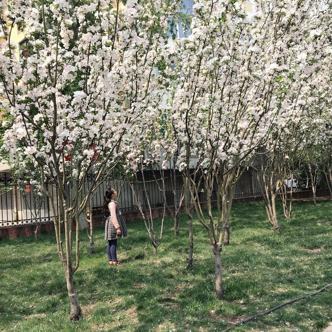 ꧁彩笔生辉꧂张荣