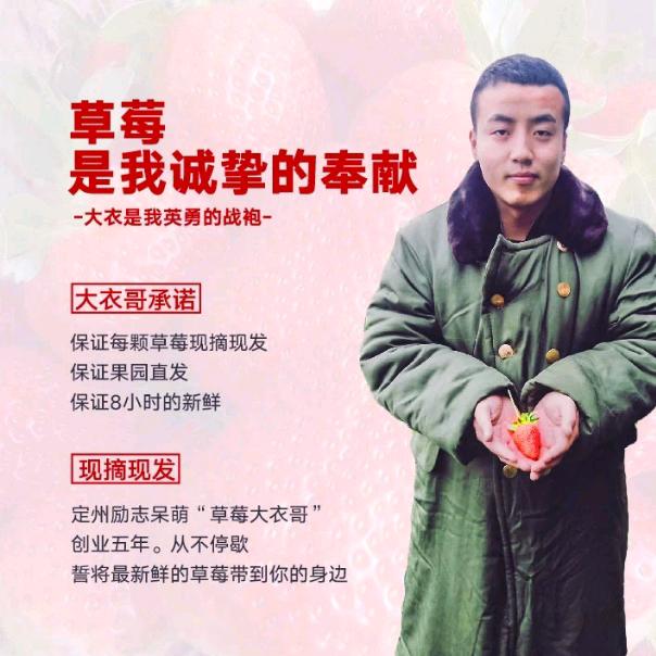 大衣哥草莓🍓