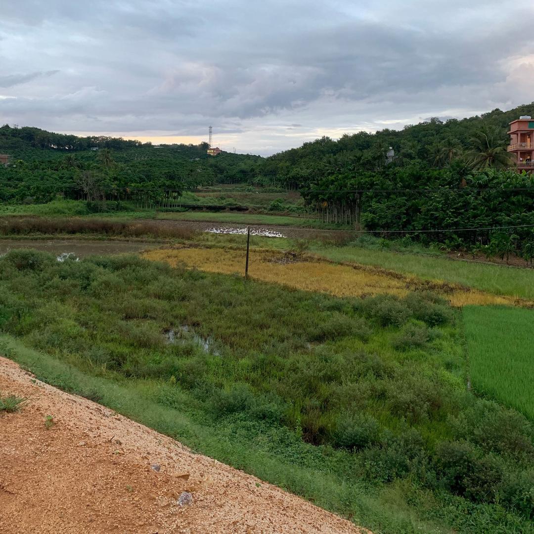 会^ 飞^ - ^的^o鱼