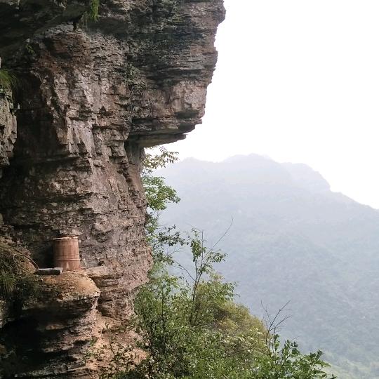 蜂中寻梦