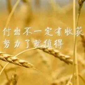 米粒工艺品