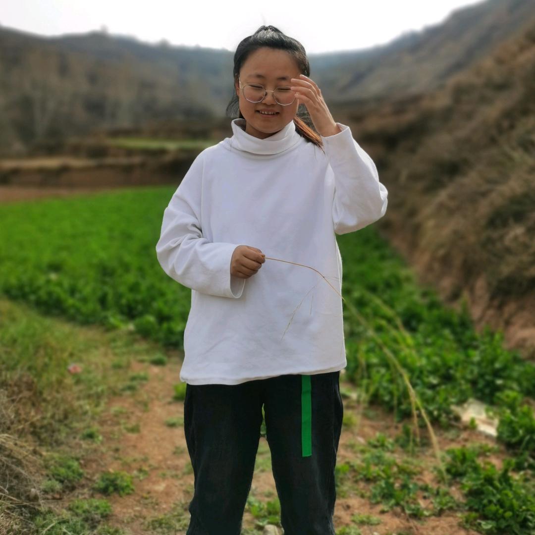 甘肃胖娃娃（定西宽粉 牛筋面)