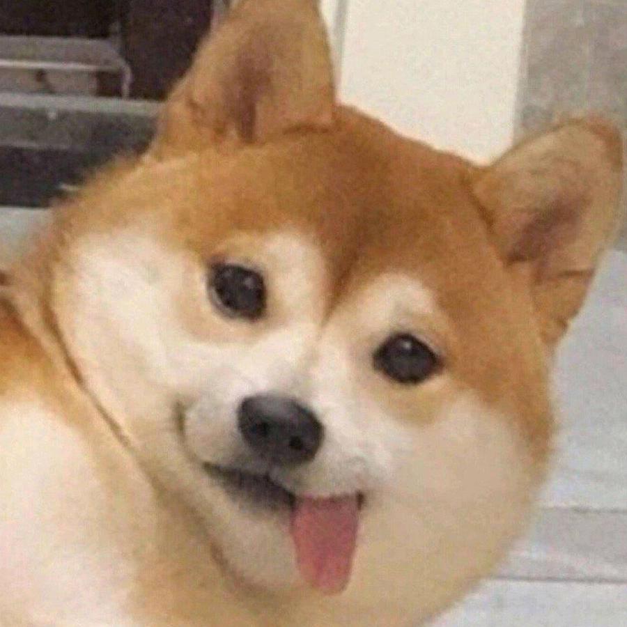 狗憨