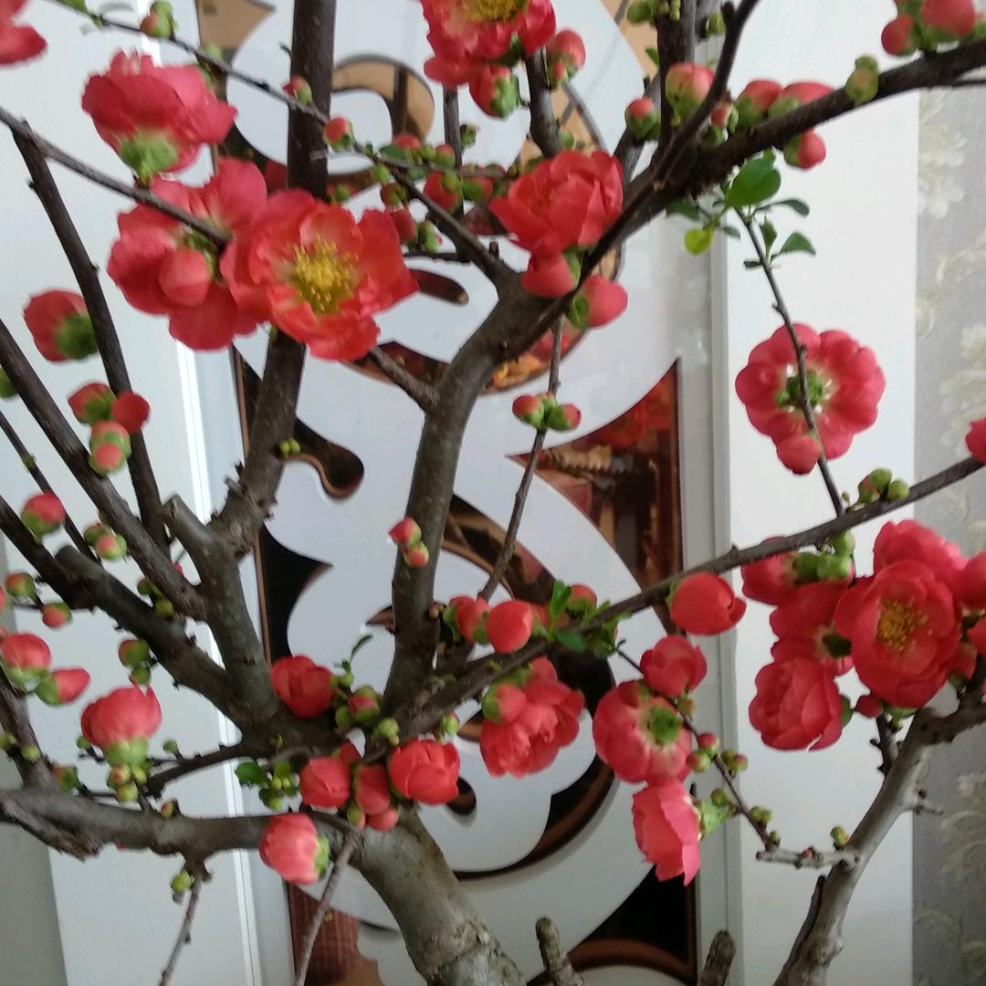 幸福其实很简单