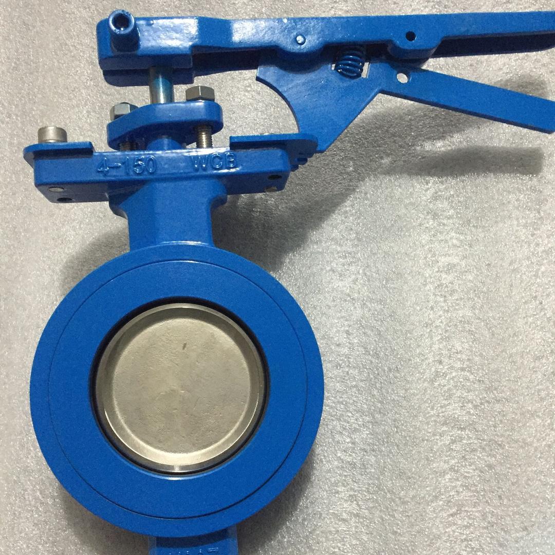 厦门索菲高性能蝶阀-萧知宁