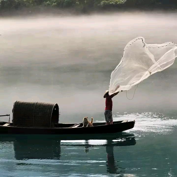 青海草膘牦牛，牛羊肉