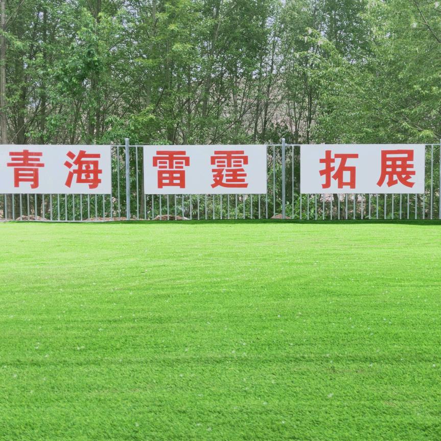 青海雷霆