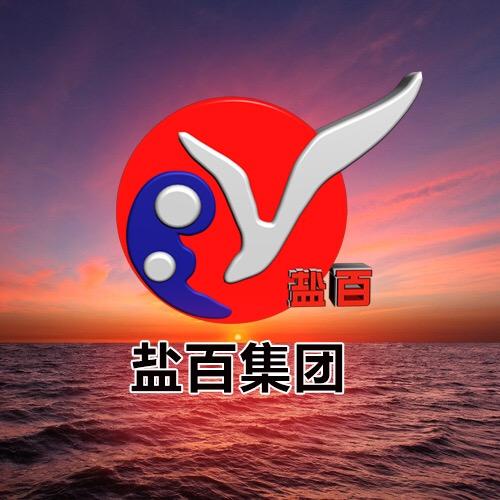 盐百集团