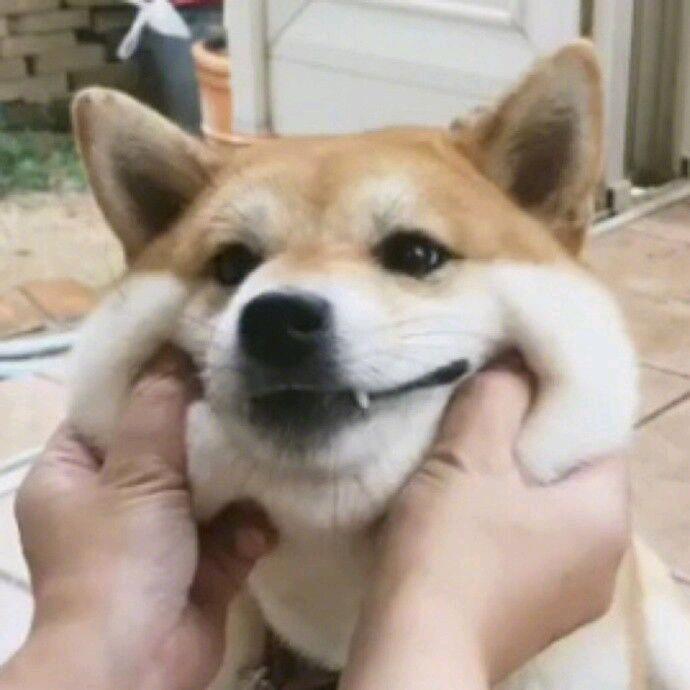不找猹的小闰土