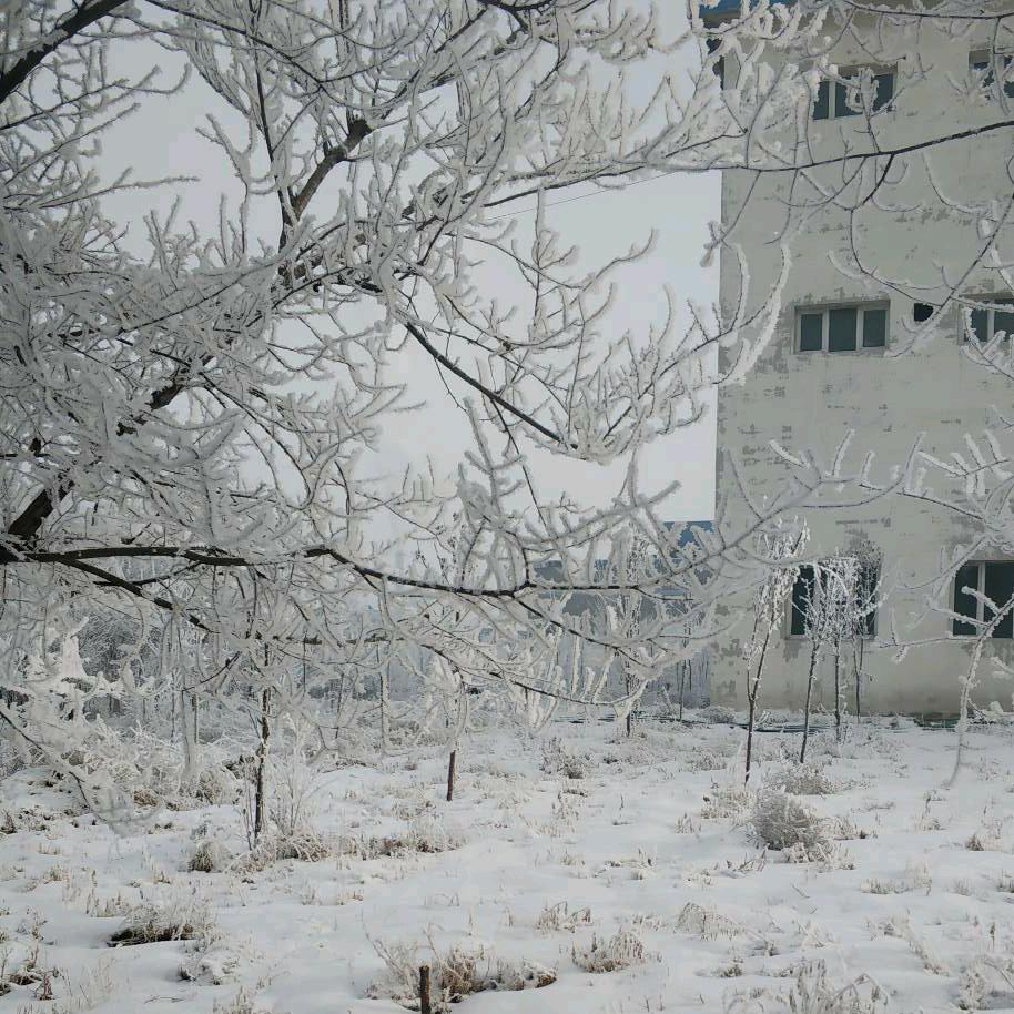 雪花那个飘