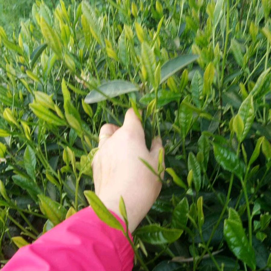 爱下厨的云姐