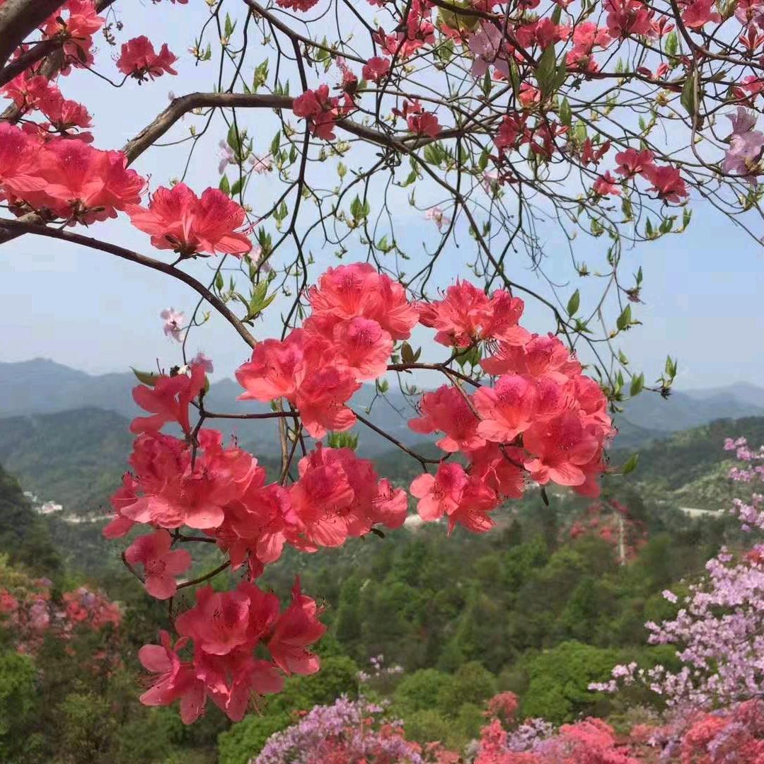 🌈王沛子轩🌈