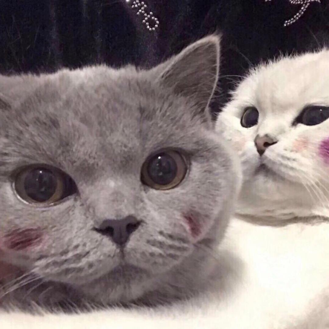 ︶﹉⋛⋋⊱⋋๑想 你๑⋌