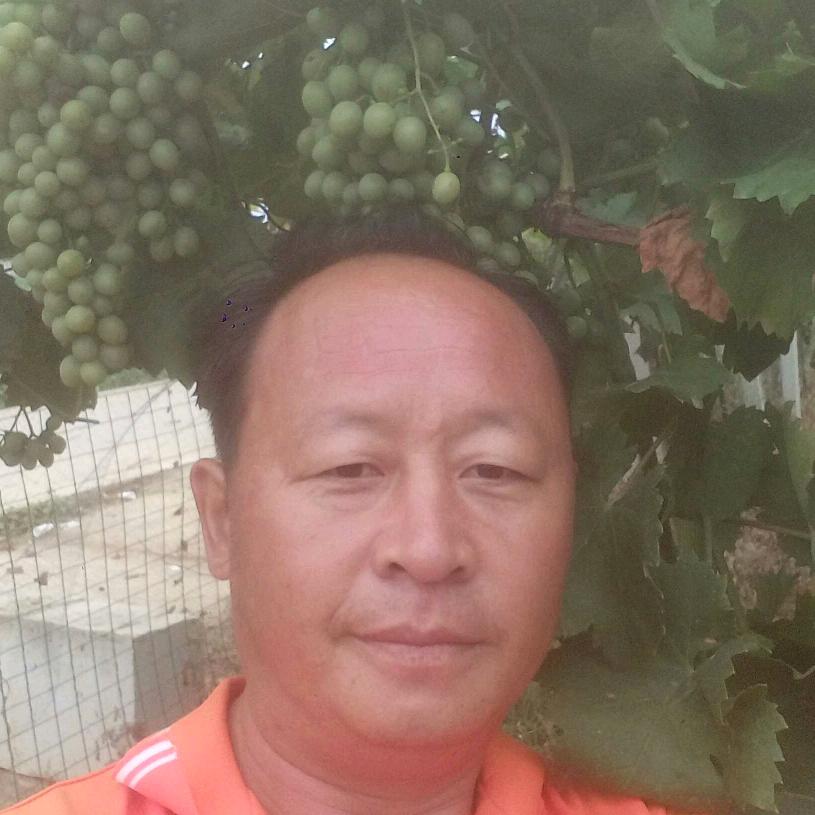 甘蔗王