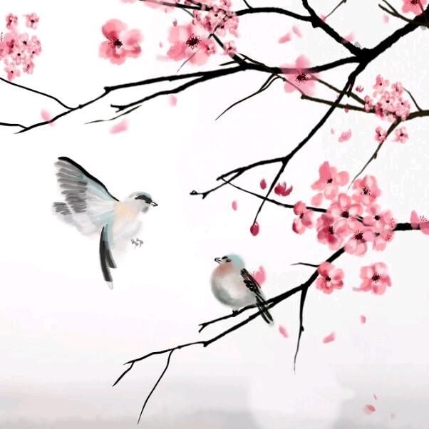 欢子(三角洲行动)