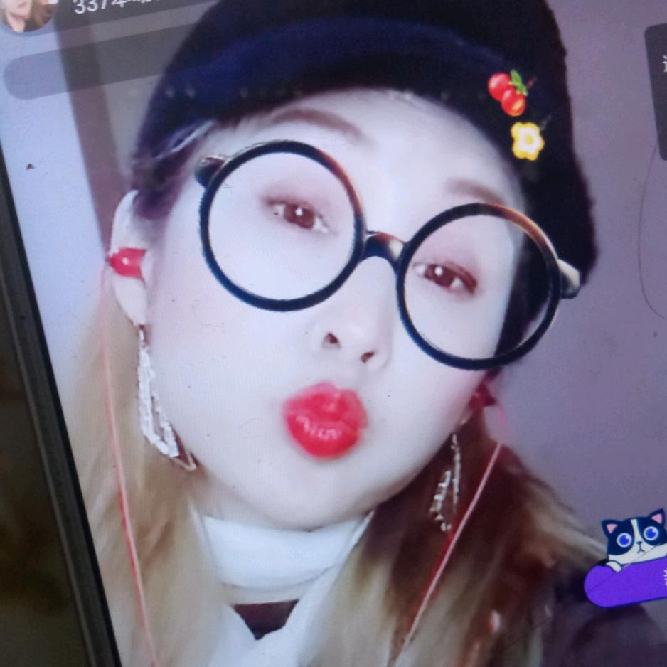 哈宝