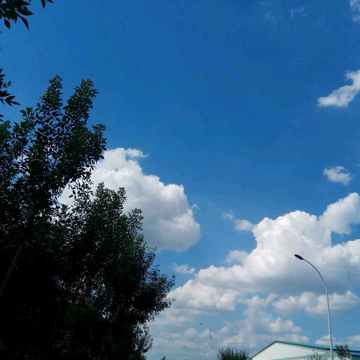 伟创稳昇电气技术有限公司