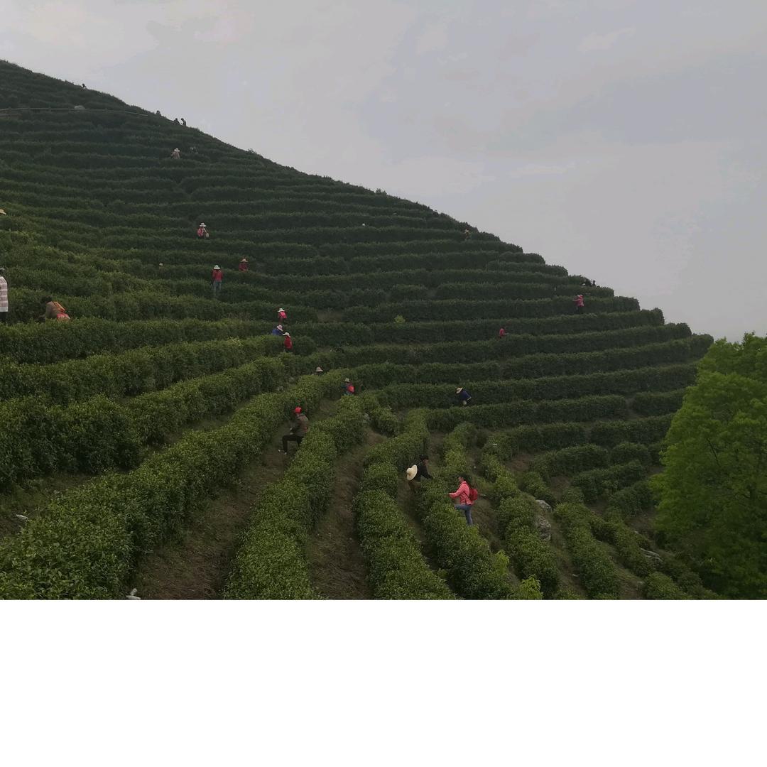 航天海洋汽修 黄平权  京牌疑难车务