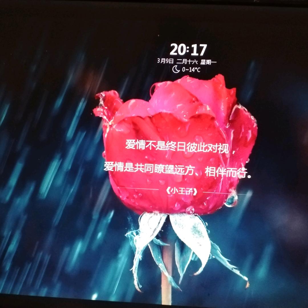 点家(娜)