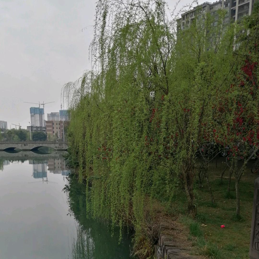 4月30日