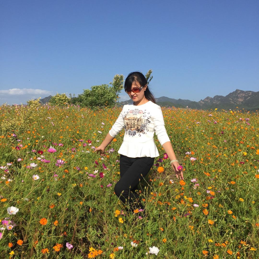 济南小宁茶舍东裕茗茶