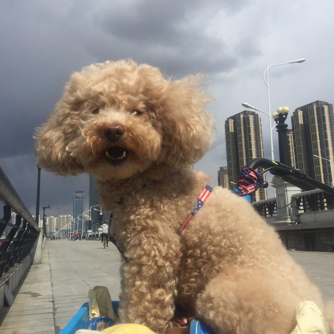 下雨天🌫️