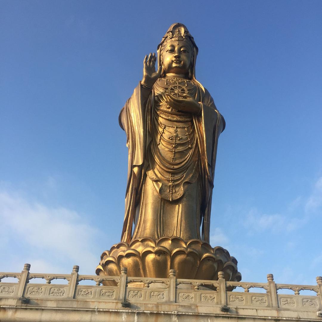 一叶一菩提