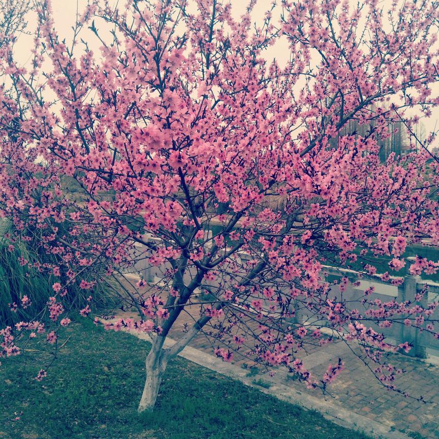 春满人间