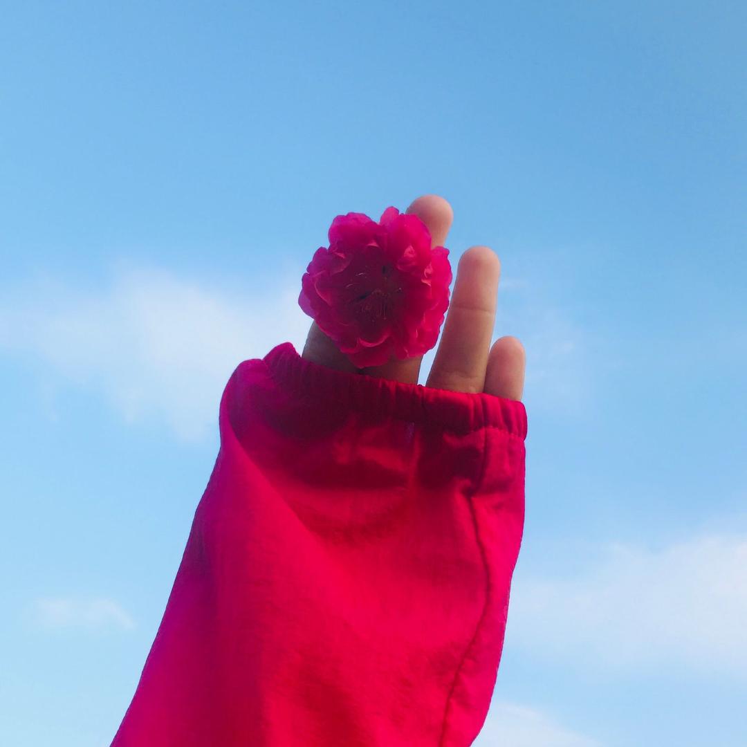 佳丽🌹