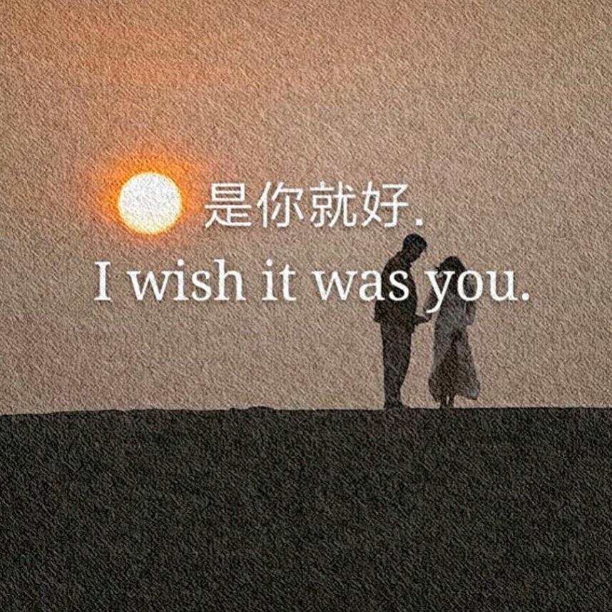 鱼巷猫未归*