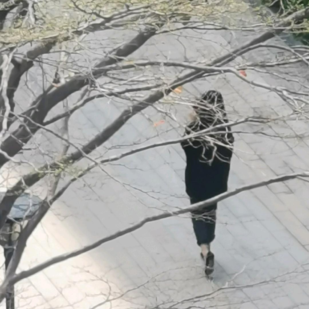 辣梅子