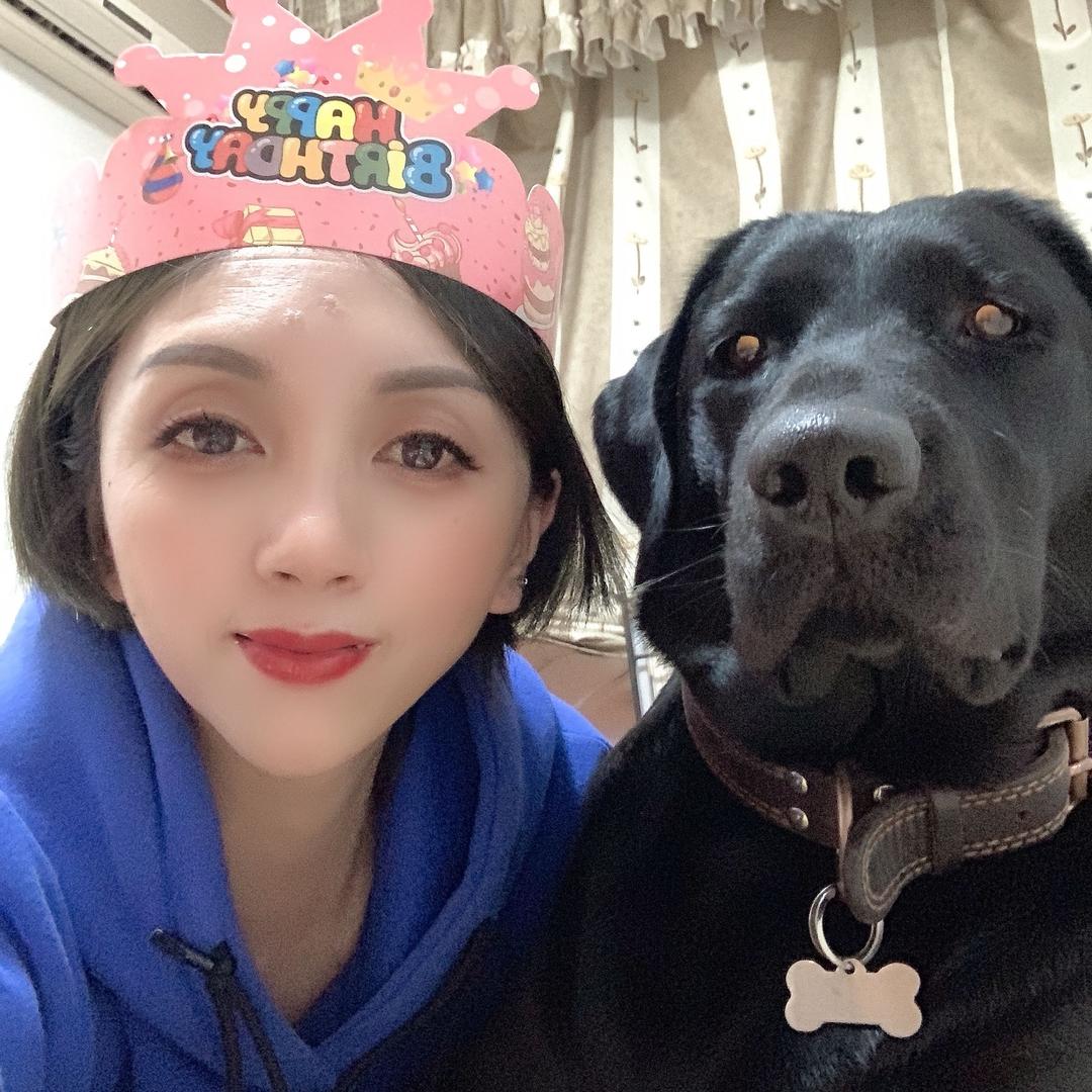 爱犬拉布拉多皮皮美女