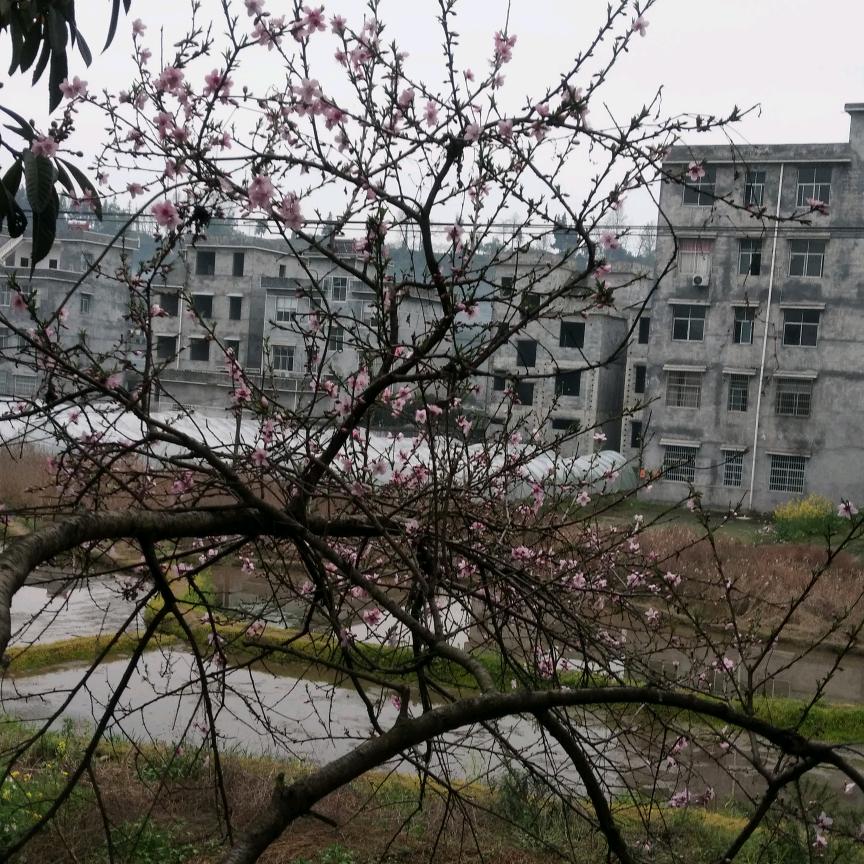 有你就幸福🌷️