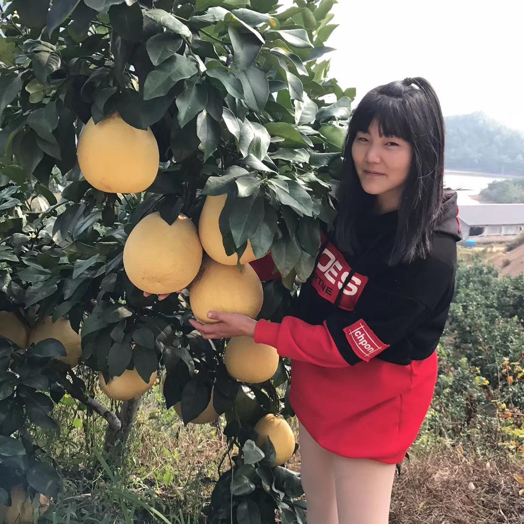 诗献园艺马家柚果树苗木专卖店直播间