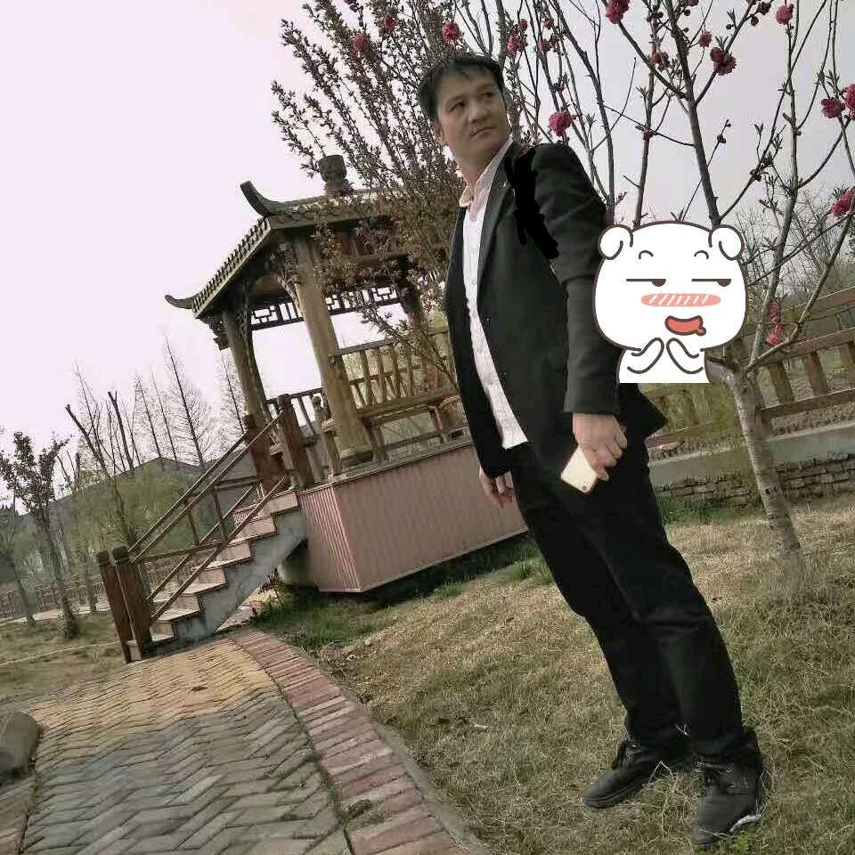 雪飞杨