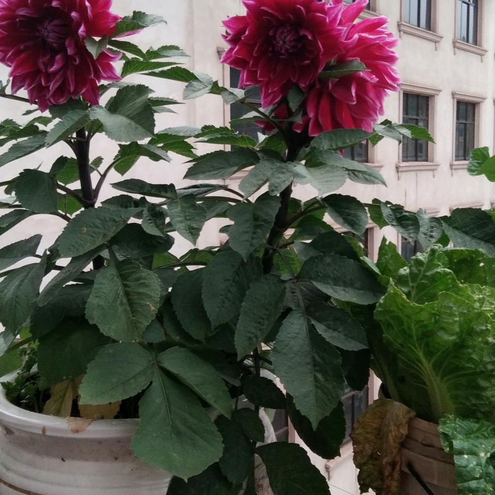 辰溪！忘了过去 做一个快乐的人