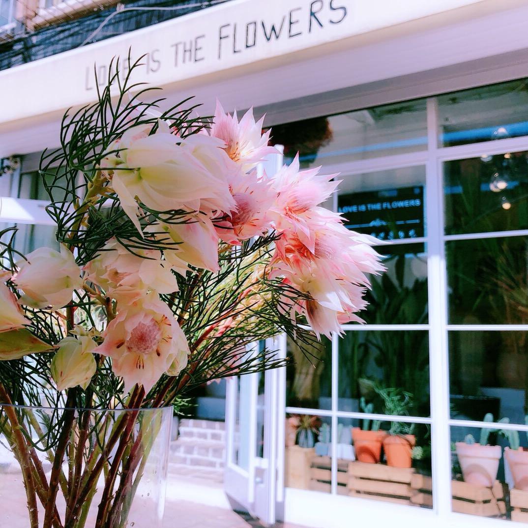 LOVEISTHEFLOWERS