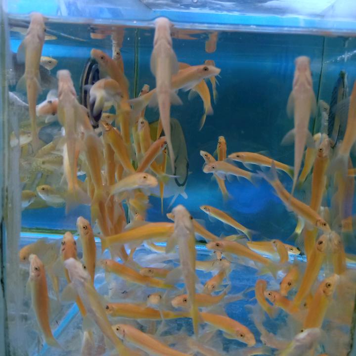 新哥❤️❤️❤️