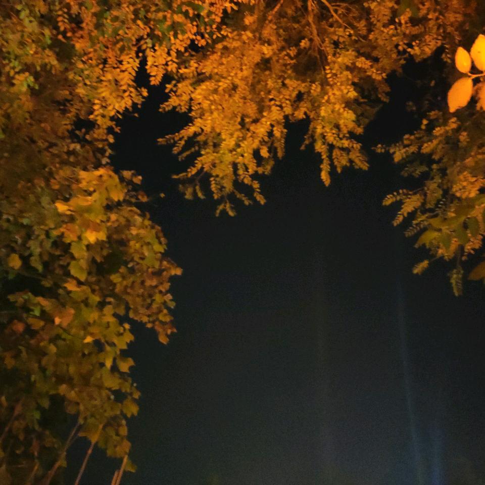些一些
