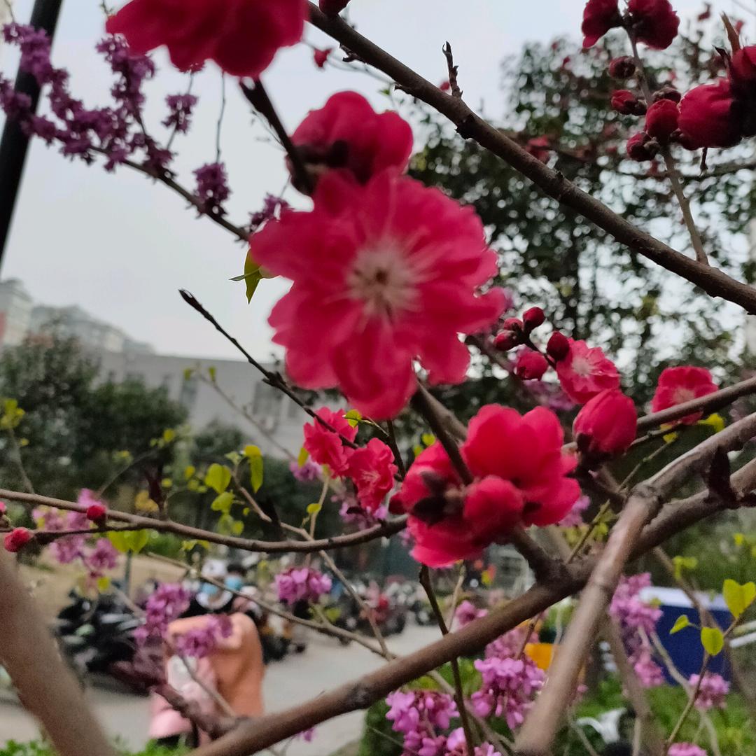 快乐姐🌹