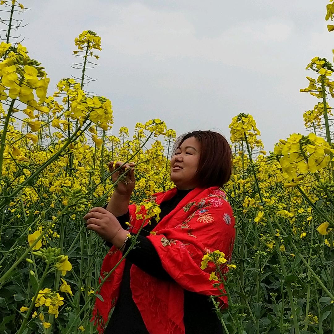 余芳74年的老虎