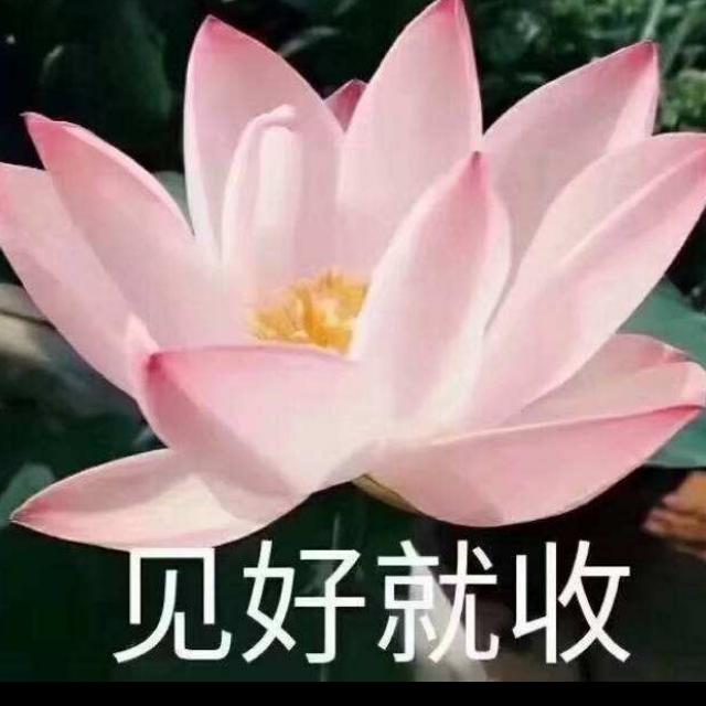 50后老奶奶
