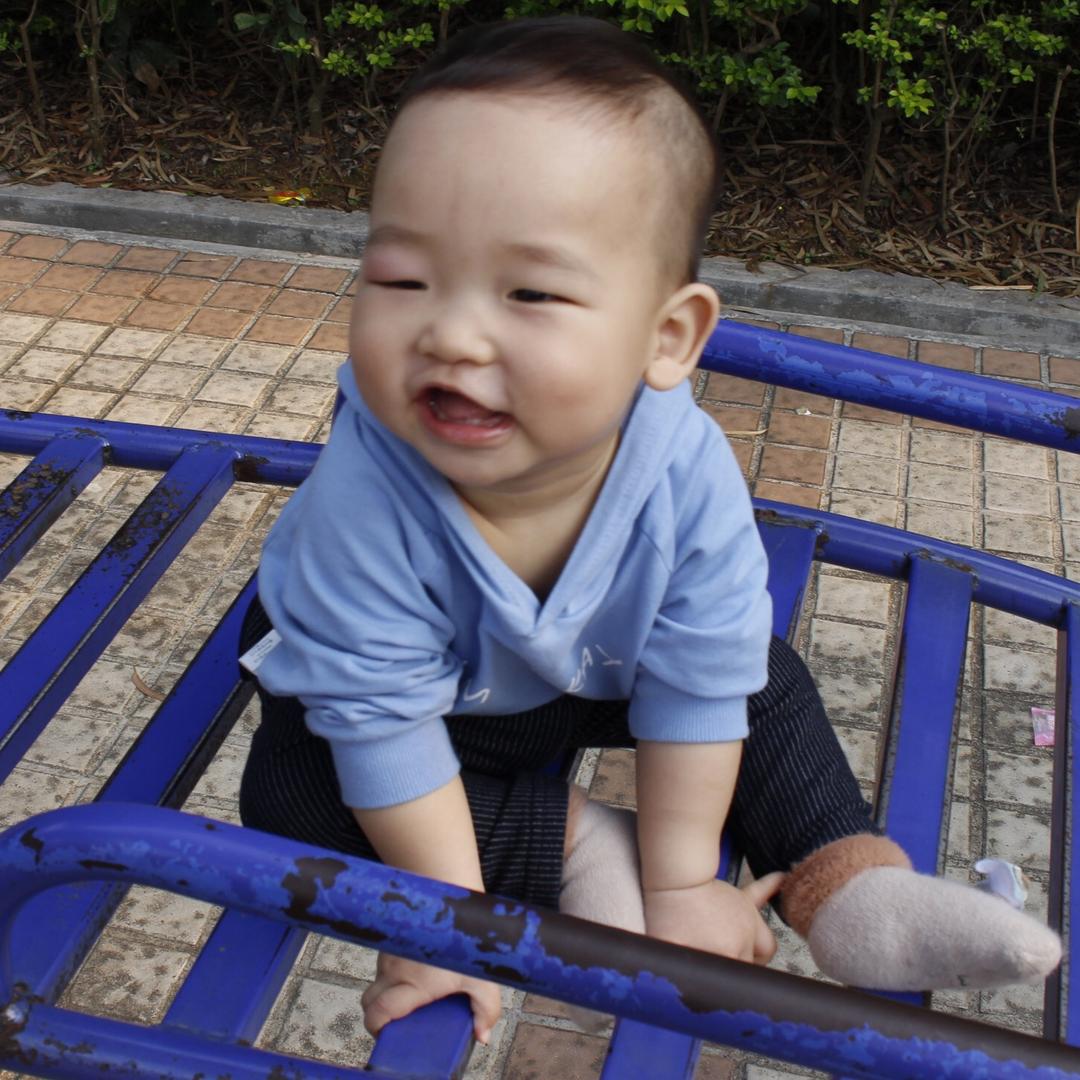 家有小九总