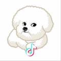Wanchen