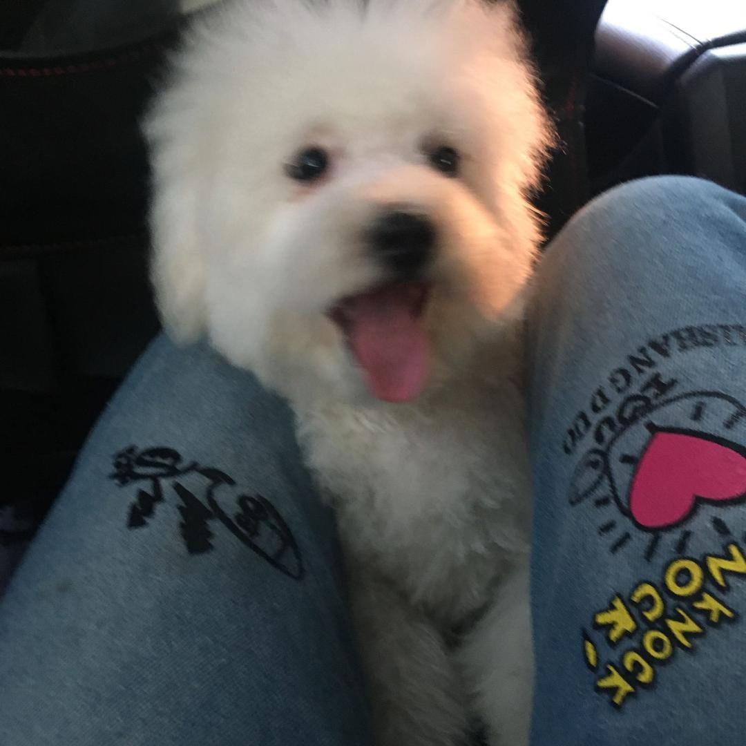 良咔（东方小区店）