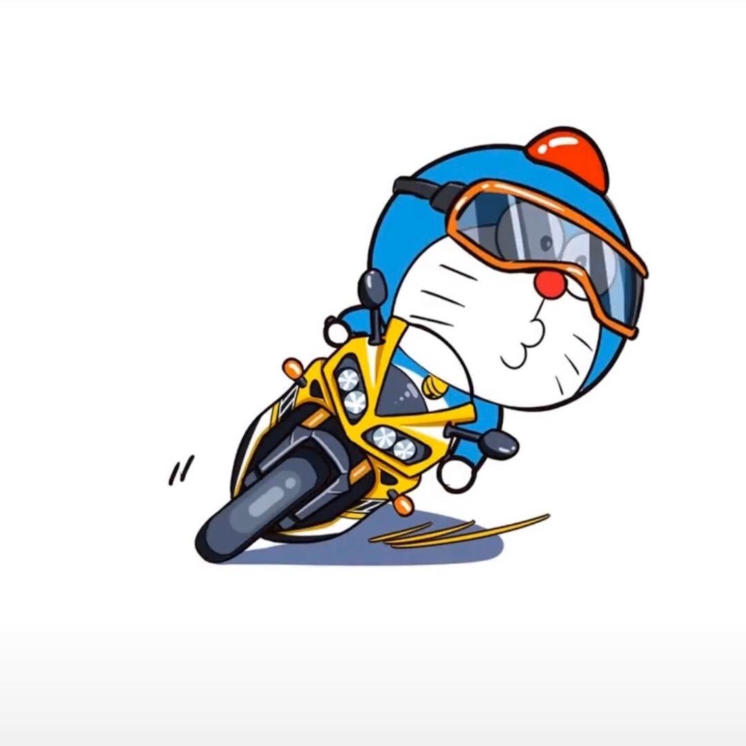 卡了鱼翅的猫