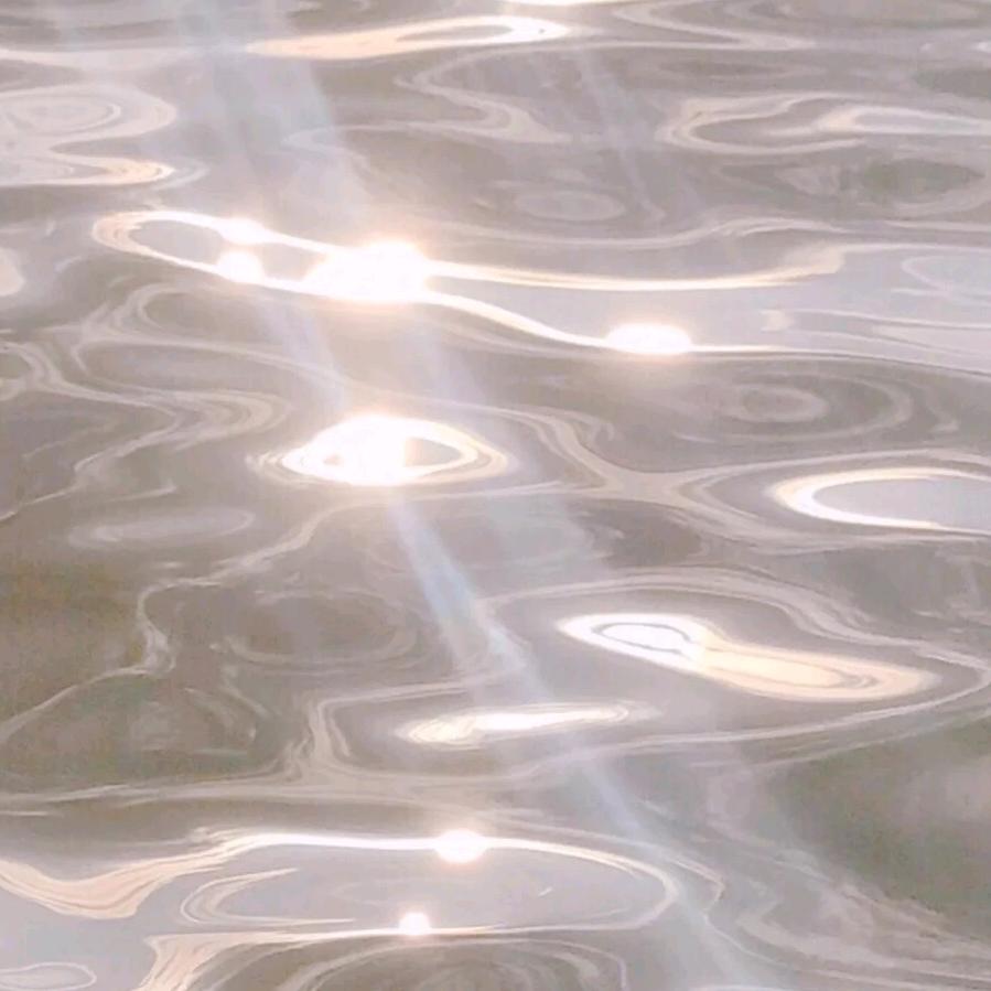 魑魅魍魉୧⍤⃝🐠         🪳