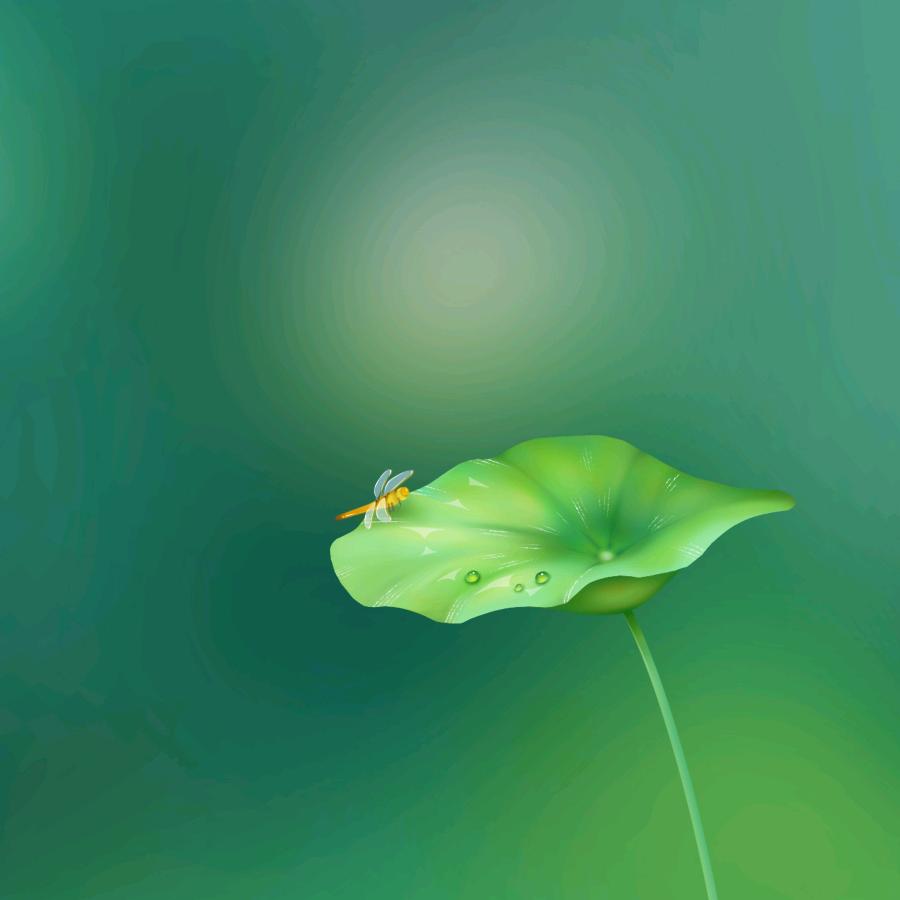 专家