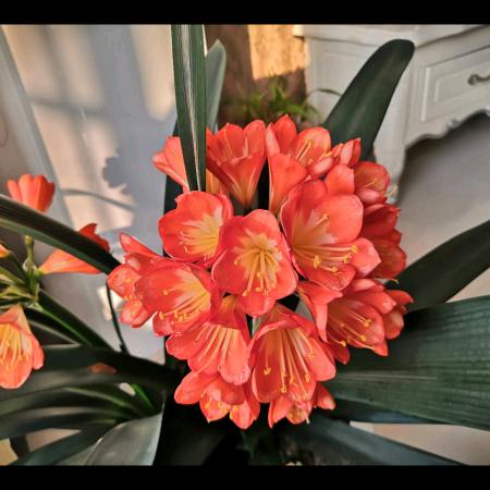 用户421223，开心就好